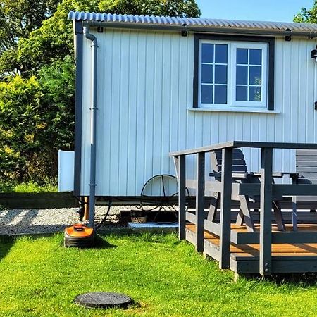 Small Cozy Shepherd Hut 20 By 7 Feet With Boxed In High Double Bed Balmacara Exteriör bild